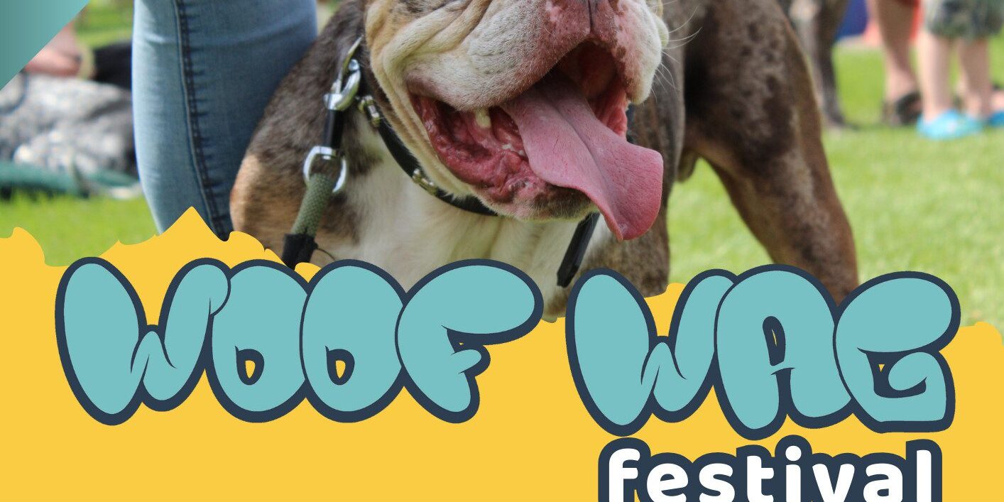 A4 Festival Poster no1