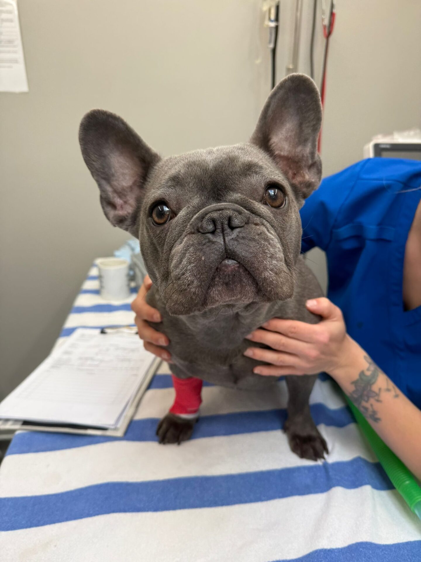 BOAS