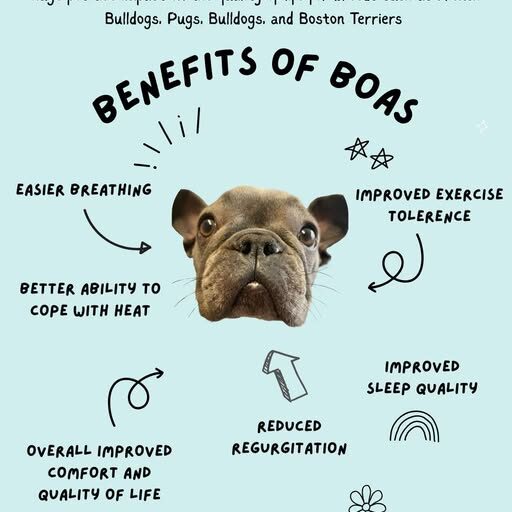 BOAS benefits