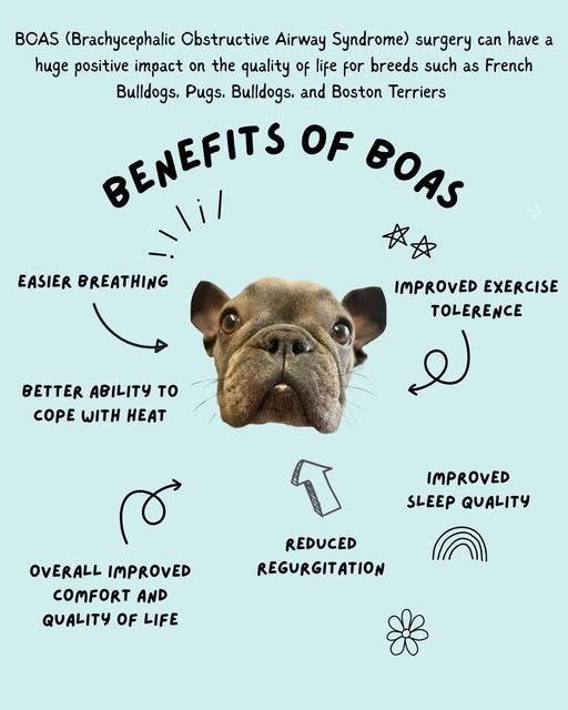 BOAS benefits