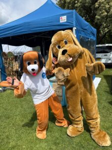 IMG-20260516-WA0022 Woofwag Festival - Kettering Vets